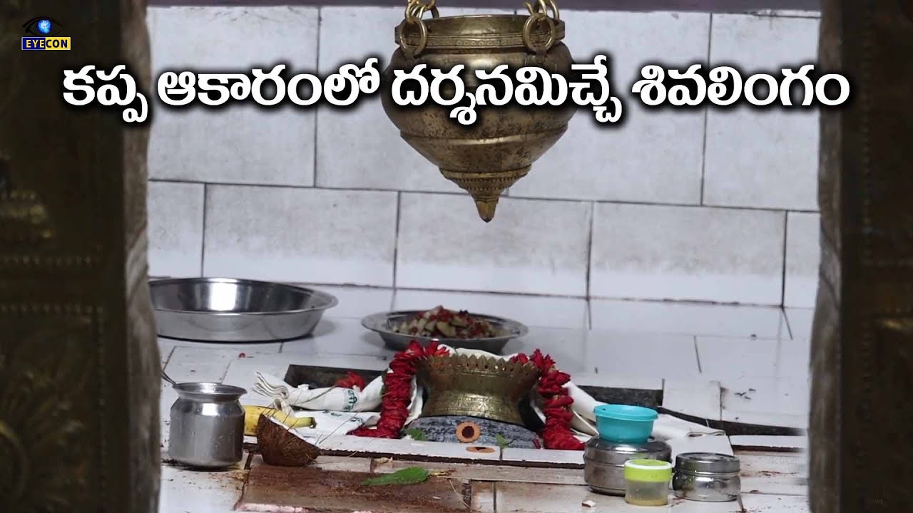కప్ప ఆకారంలో దర్శనమిచ్చే శివలింగం | Sri Malleswara Swamy Temple Manikeswaram,Prakasam  | Eyeconfacts