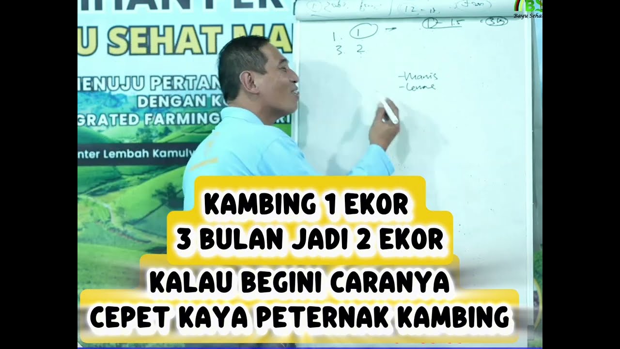 KAMBING 1 Ekor 3 Bulan Bisa  Jadi 2 Ekor ✅ Ilmu Mahal Simak sampai selesai