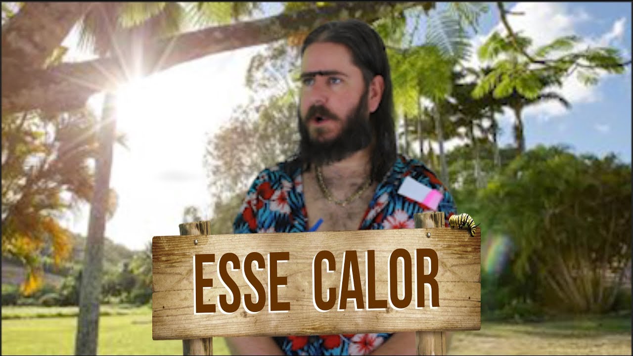 Plantão do Chico: Esse calorão...