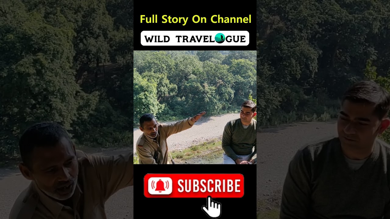 Tiger Attack Story | डंडे ने बचाई जान 