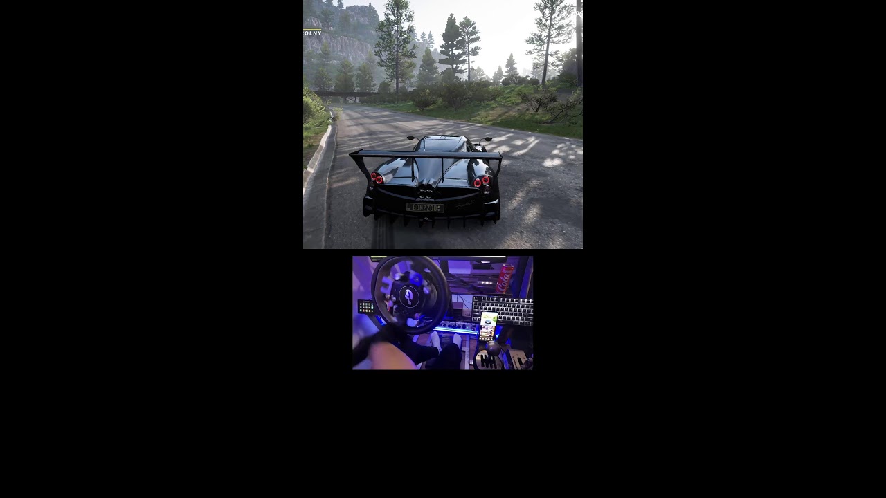 Forza Horizon 5 Live steering wheel