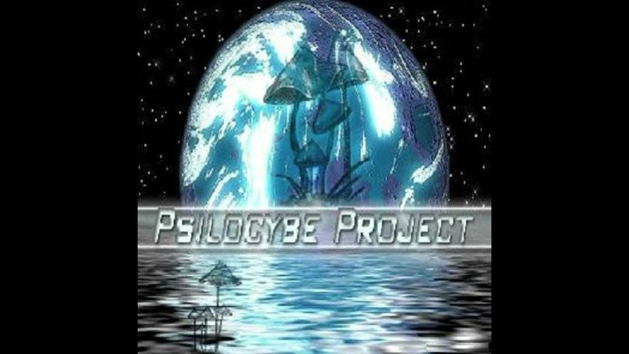 Psilocybe Project - Time Turns