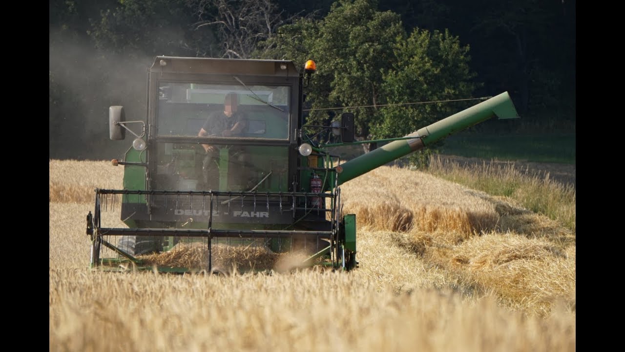 Getreideernte 2019 | 4K | Deutz Fahr | M980 | Gopro Cabview | Dx3.60 | Agrotron 85 | 6206