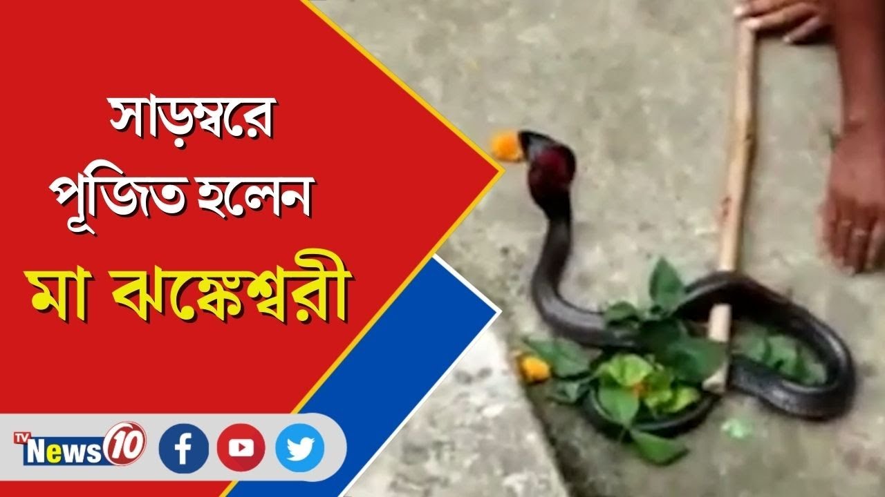 সাড়ম্বরে পূজিত হলেন মা ঝঙ্কেশ্বরী   ||   Maa Jhankeshwari is solemnly worshiped at East burdwan  ||