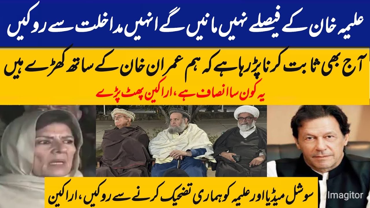 PTI leaders hit back at social media team, Aleema Khan?