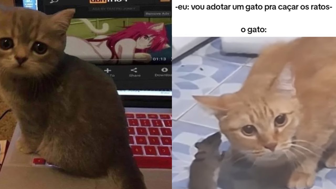 memes riso + Compilado De Memes Shitpost