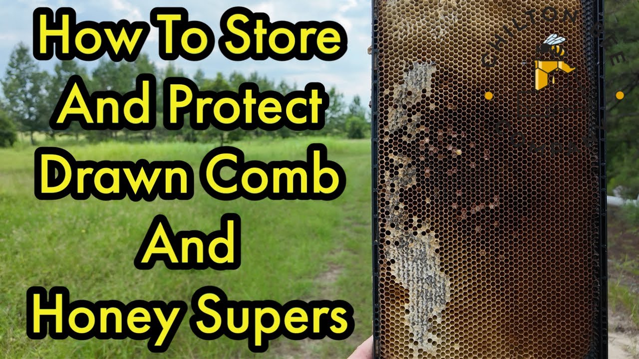 How To Store And Protect Drawn Comb And Honey Supers