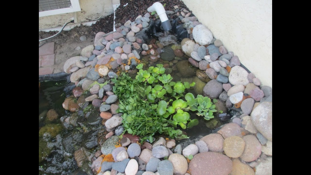 Diy Radial Flow Filter for Turtle Pond