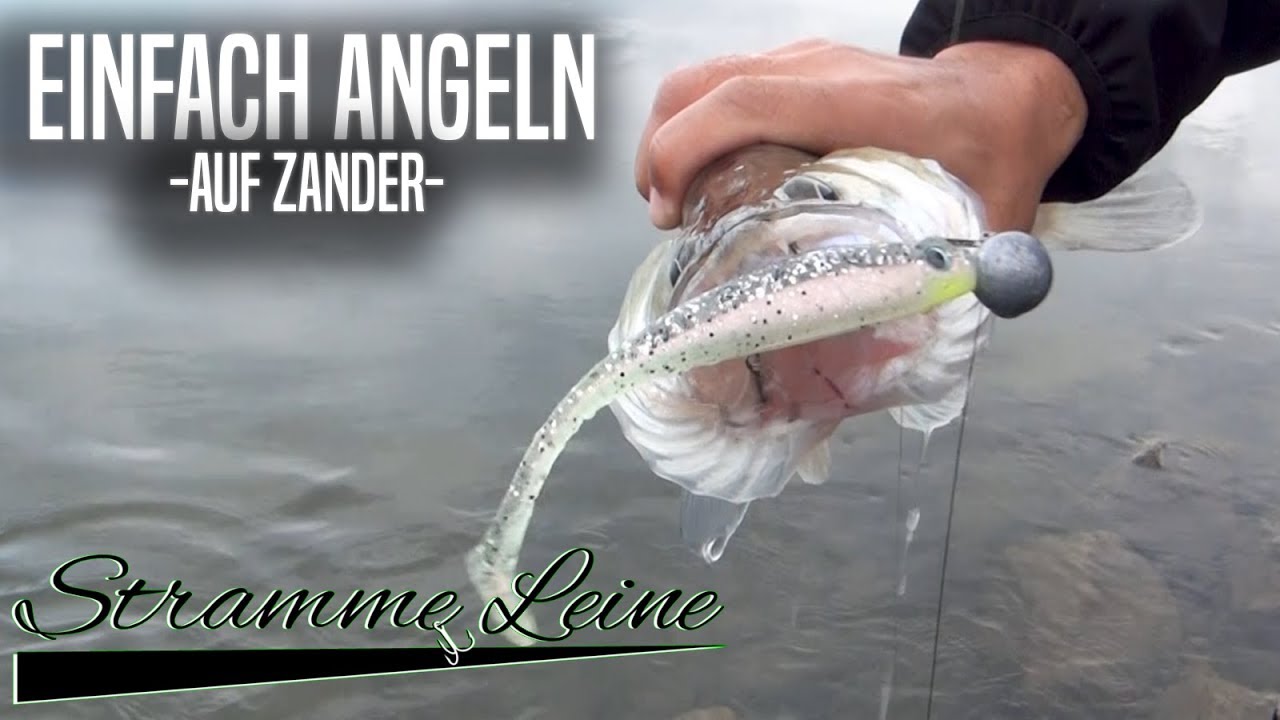 Einfach Angeln - Auf ZANDER mit GUMMIFISCH