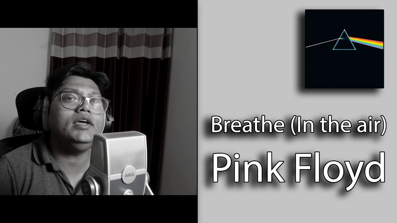 Pink Floyd - Breathe (In the air) (cover)
