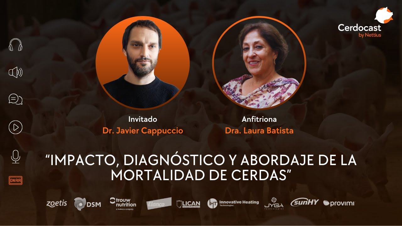 Episodio #114 - Impacto, diagnóstico y abordaje de la mortalidad de cerdas