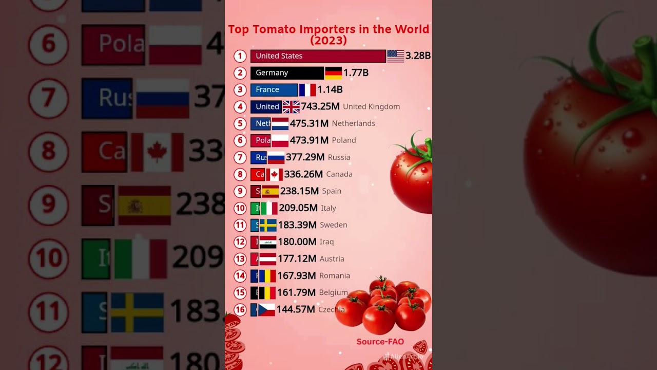 🍅 Top Tomato Importing Countries in the World | 2023 🌍 
