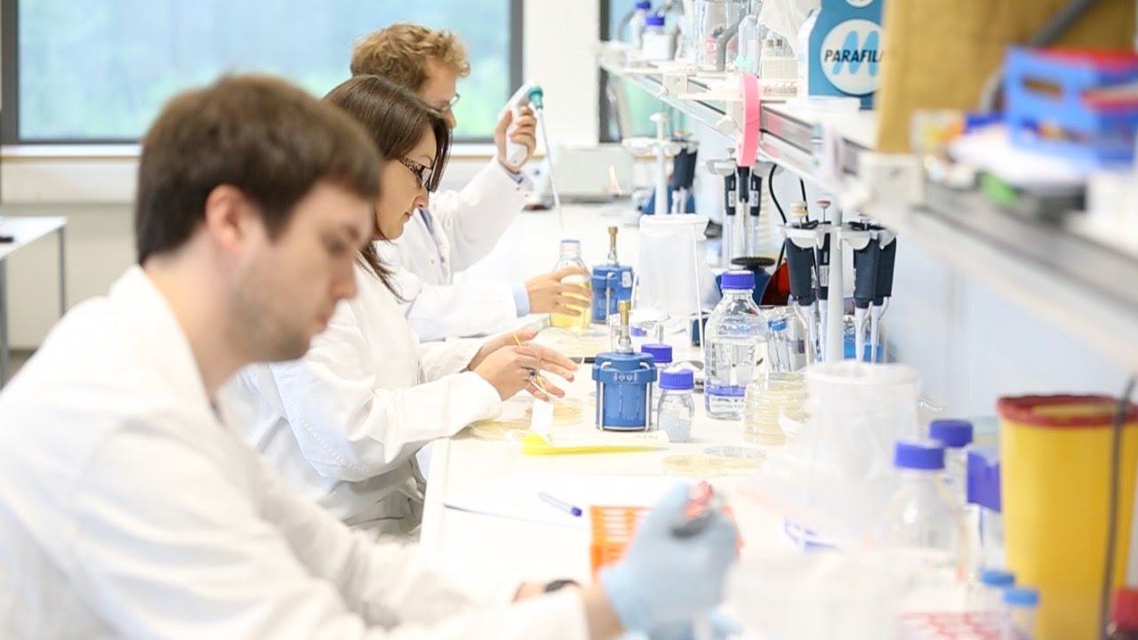 Synthetic Biology: Engineering a Bioplastic-Producing E. Coli Cell Factory - Group 1