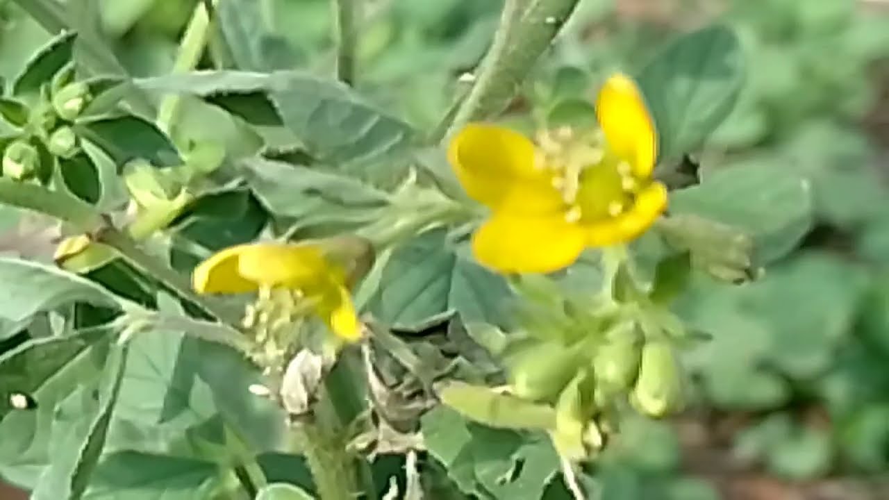 இந்து கருணா வீட்டைவிட்டு வெளியேறிய தருணம் 5 பிப்