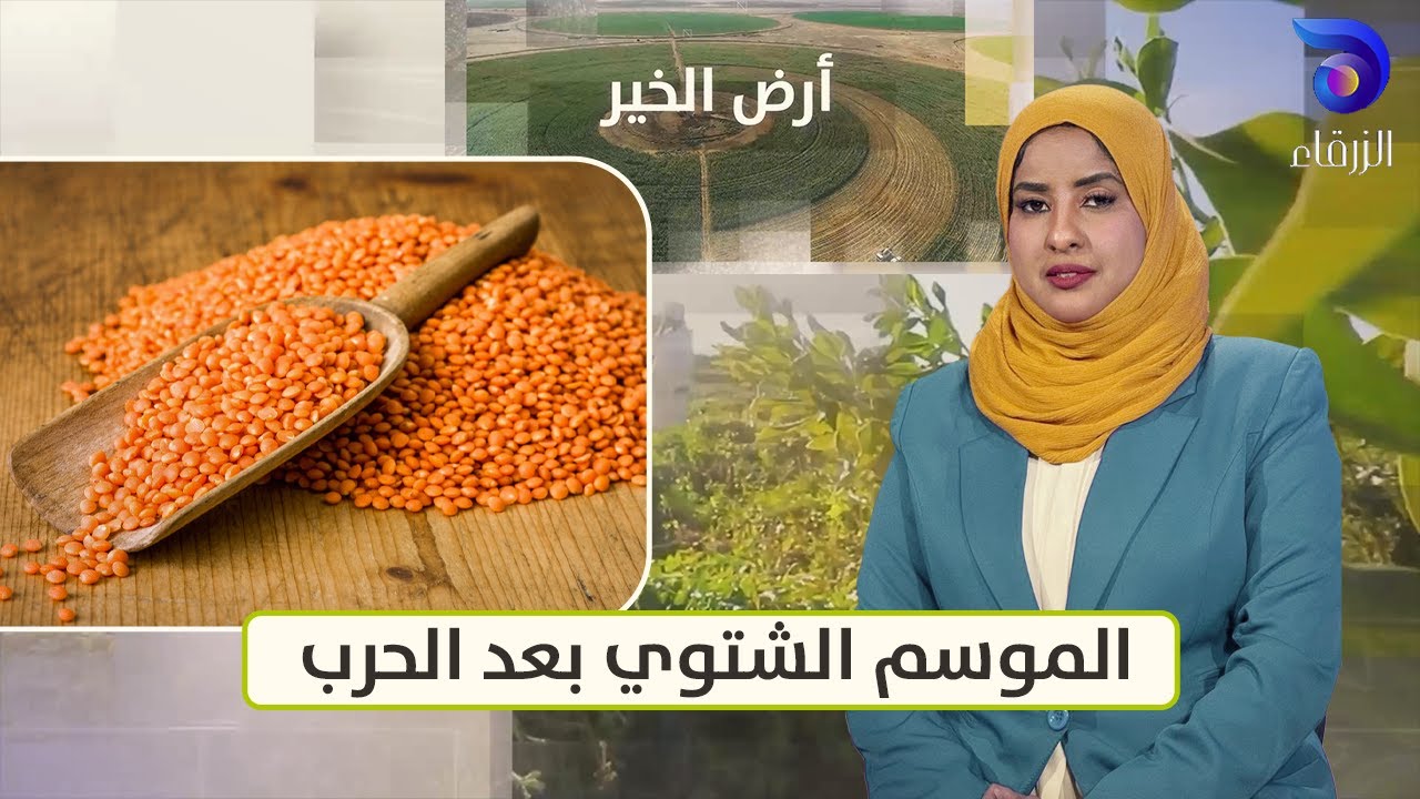 الموسم الشتوي بعد الحرب… هل تكون الزراعة بداية تعافي السودان؟ || أرض الخير