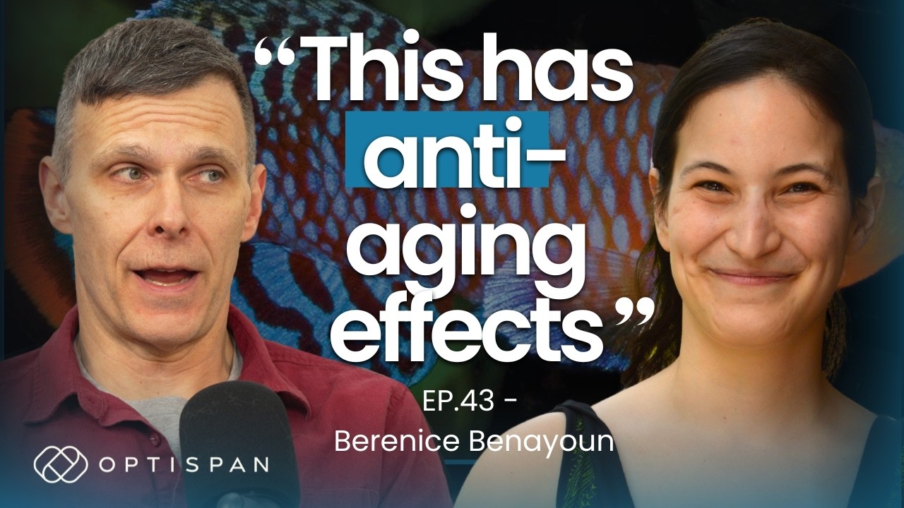 How Pregnancy Affects Aging, New Model Organisms for Aging Research, HRT | 43 - Berenice Benayoun