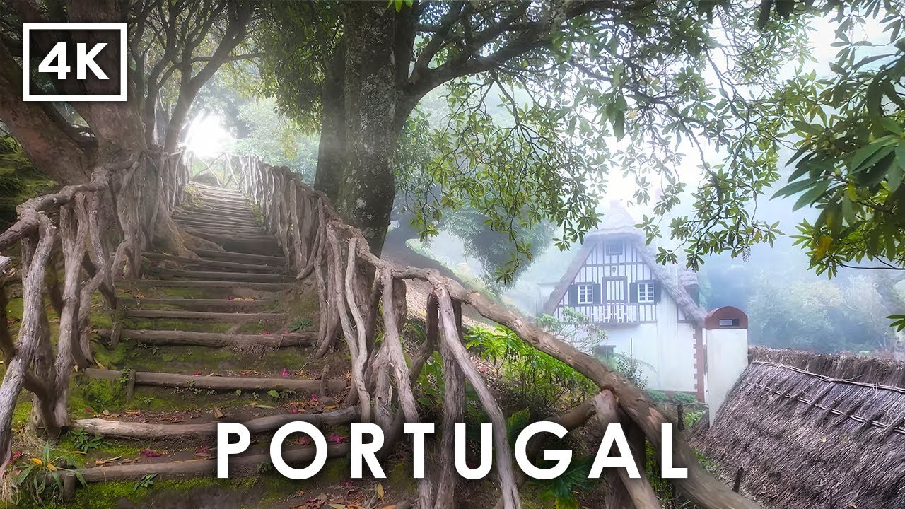 4K Прогулка по Волшебному Лесу Мадейры 🇵🇹 | Лесной Парк Кеймадаш в Португалии