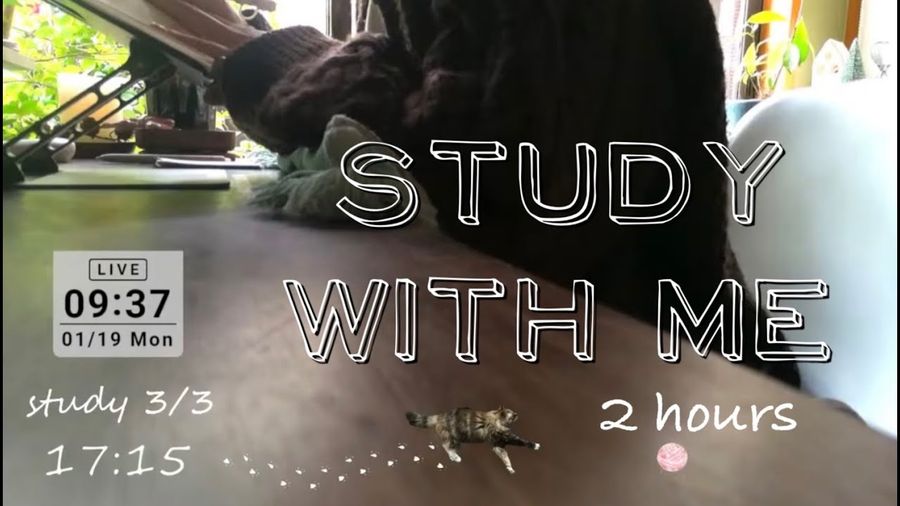 Study with me | pomodoro 50/10 | 8:00 - 10:00 -  fire crackling 一緒に勉強しましょう【作業用 焚火の音🔥】