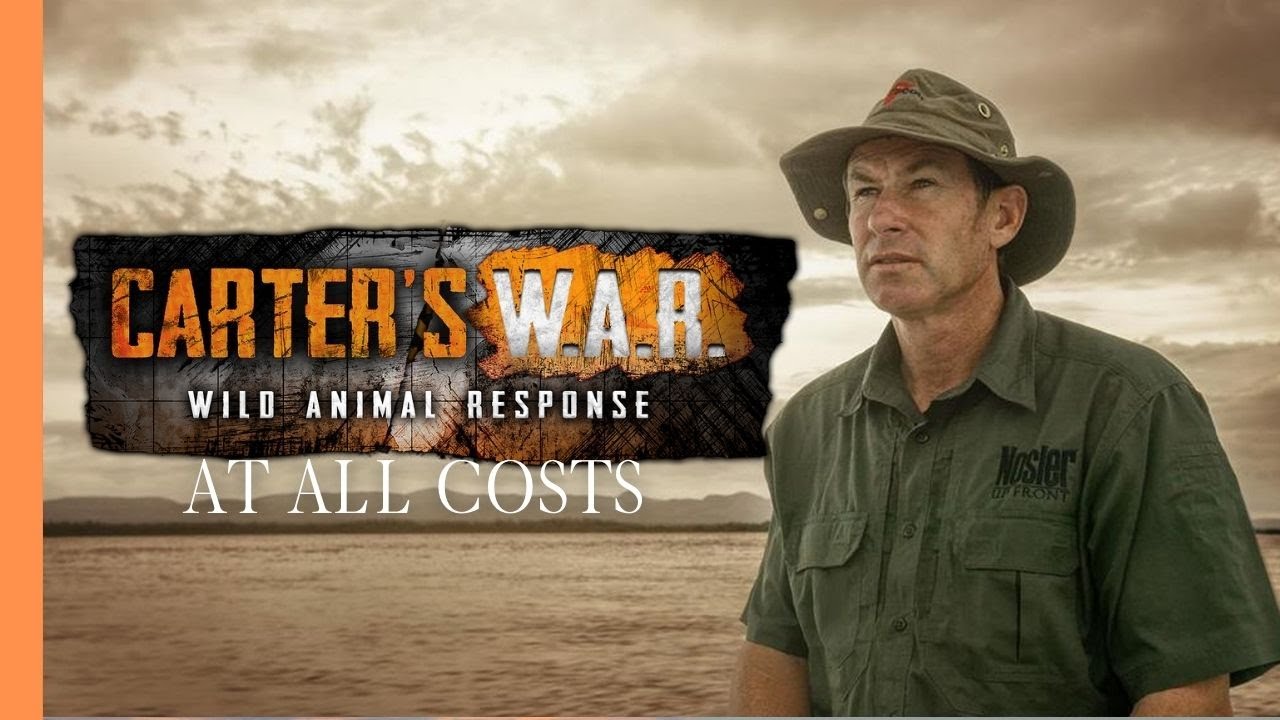 Carter's War - Rhino Rescue Mission: 600 Miles to Safety | Wildlife Documentary
