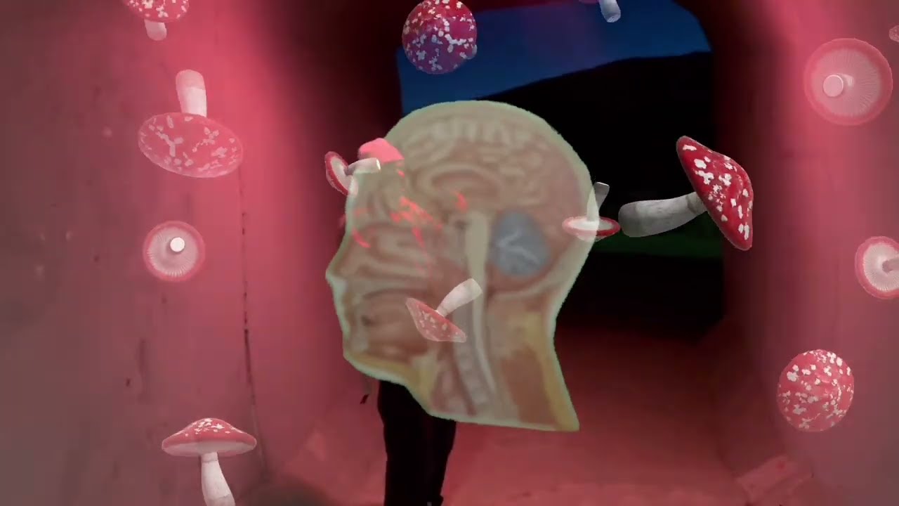 way too high (official music video)