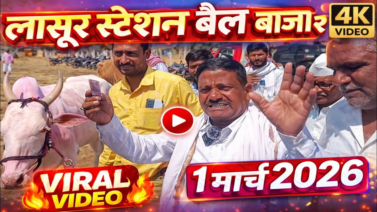 लासूर स्टेशन बैल बाजार bail bazar 1 मार्च 2026