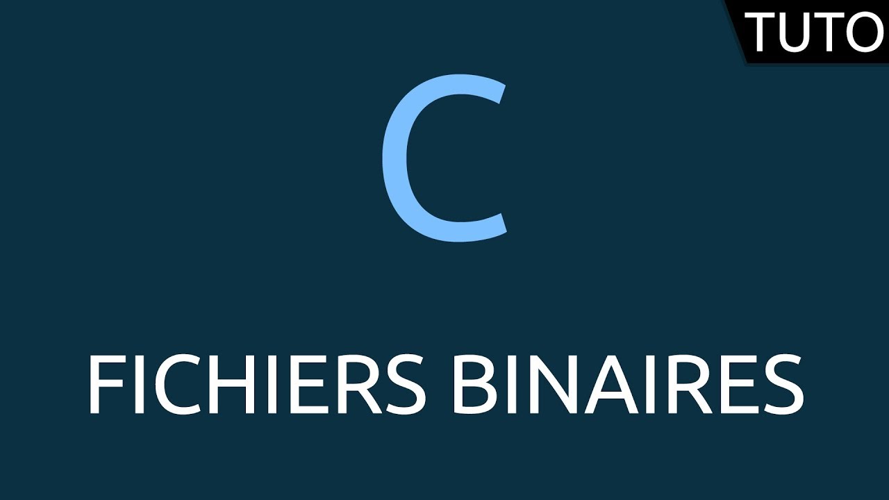 Tutoriel C - fichiers binaires