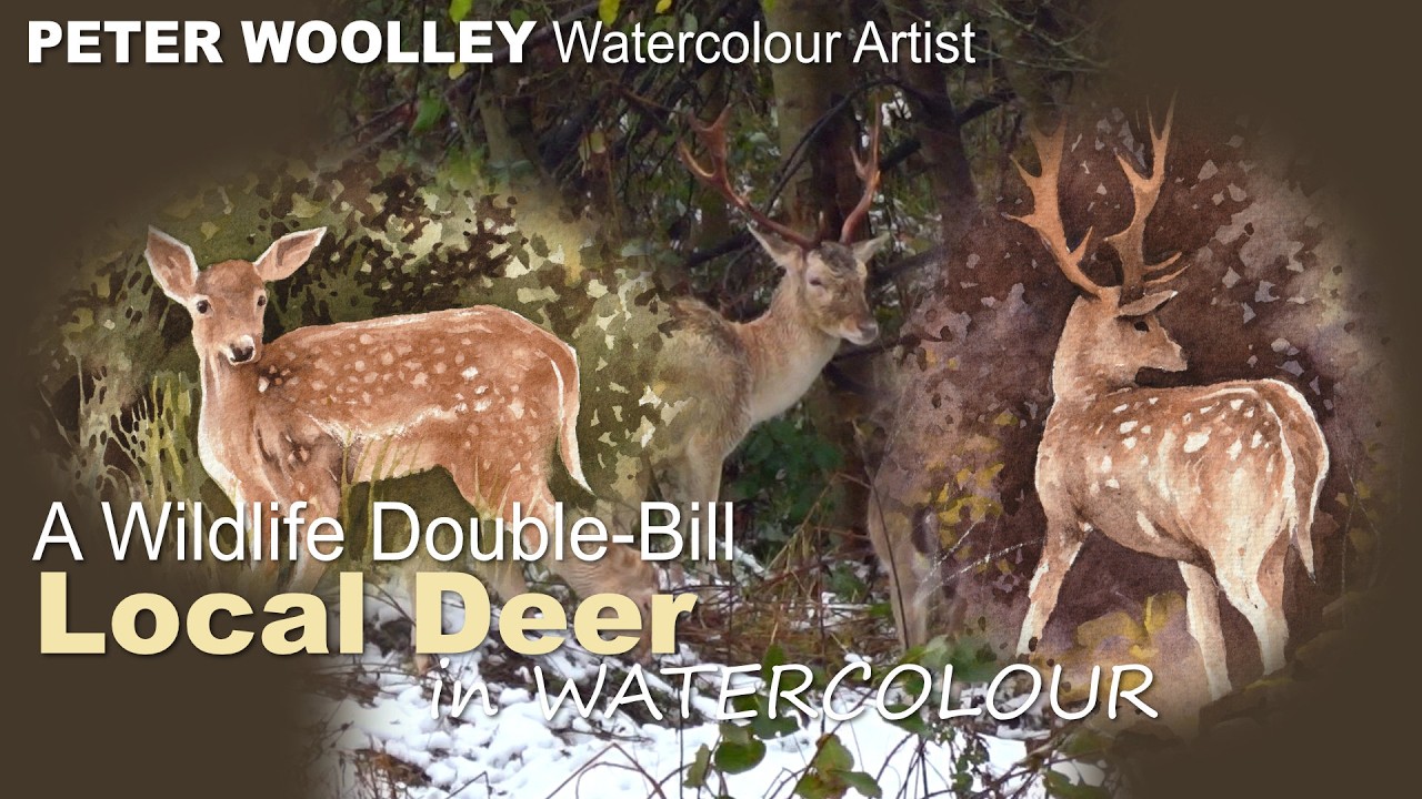 Local Deer  in WATERCOLOUR