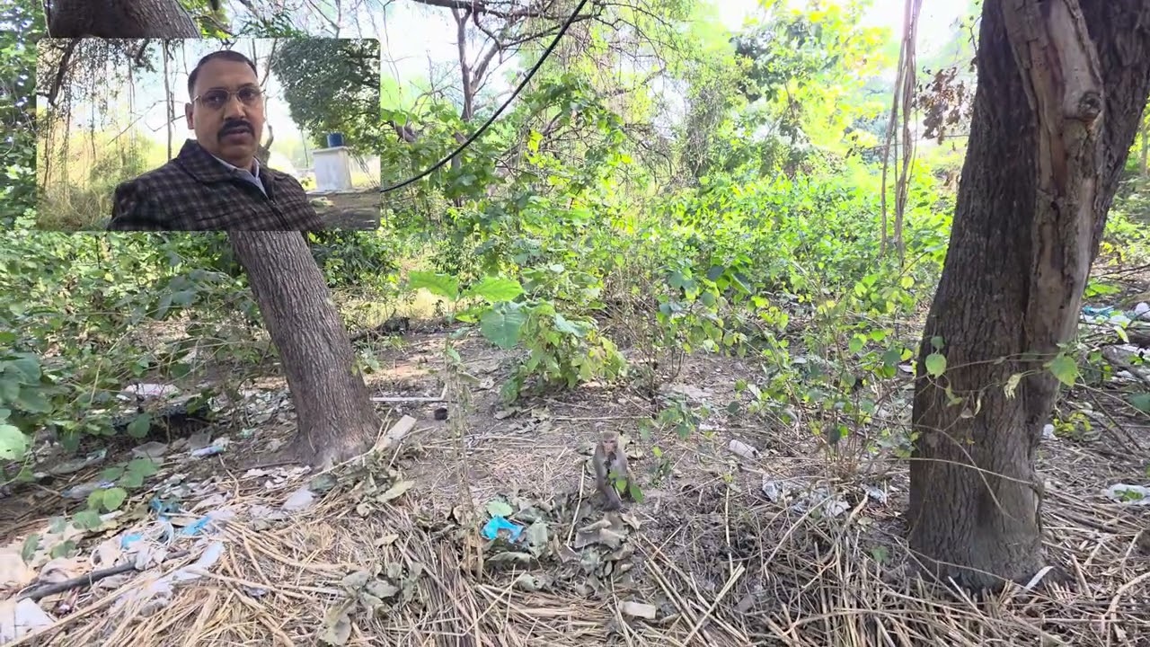 Aaj ka Mini vlogs.      Viral#tending#longvideo