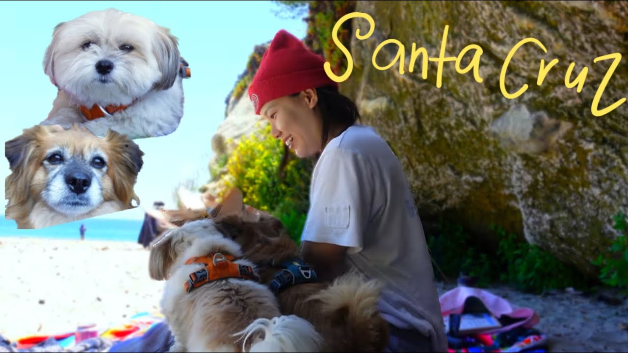 Beach picnic with my puppies in Santa Cruz