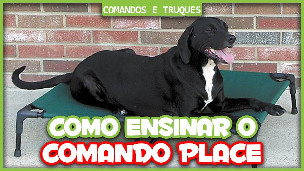 Como ensinar o comando PLACE