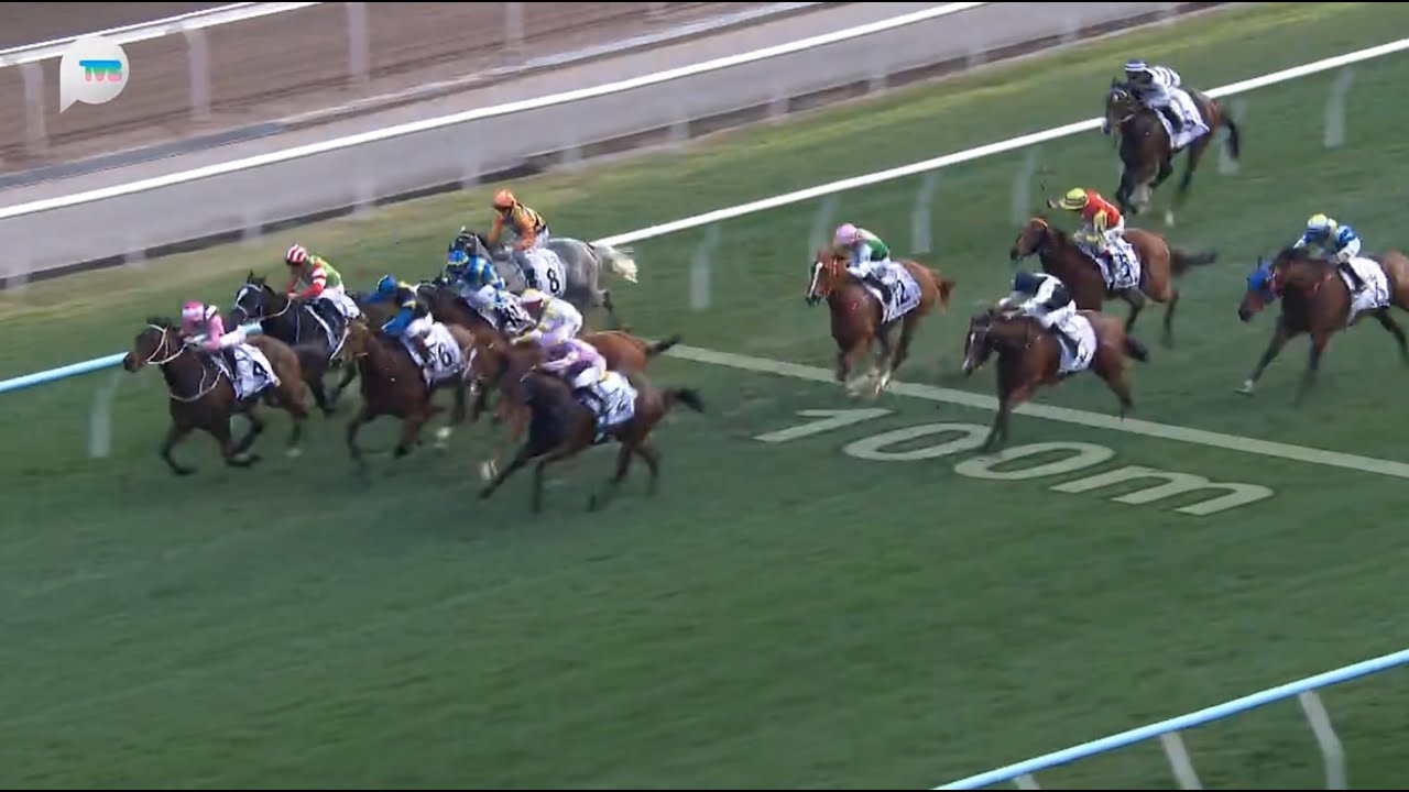 HKJC香港經典一哩賽 Hong Kong Classic Mile 一級賽 G1 1600m 2026-02-01 小鳥天堂 LITTLE PARADISE 沙田馬場 Shatin Racecour
