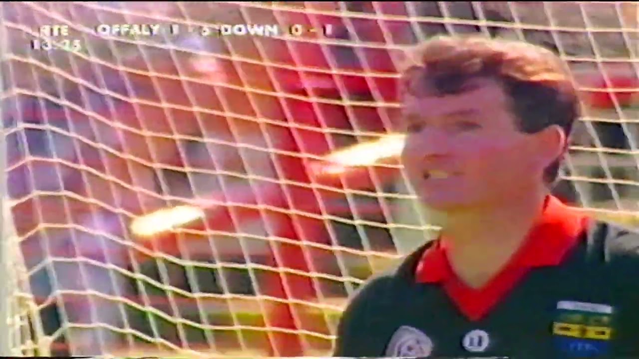 1995 All Ireland Hurling Semi Final Offaly v Down