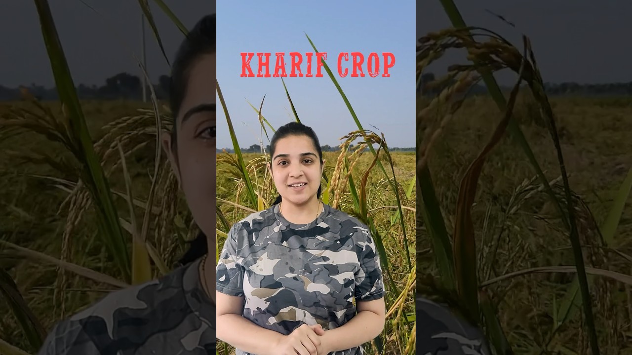 Kharif Crop | Cash Crop #gkshorts #parcham #parchamclasses