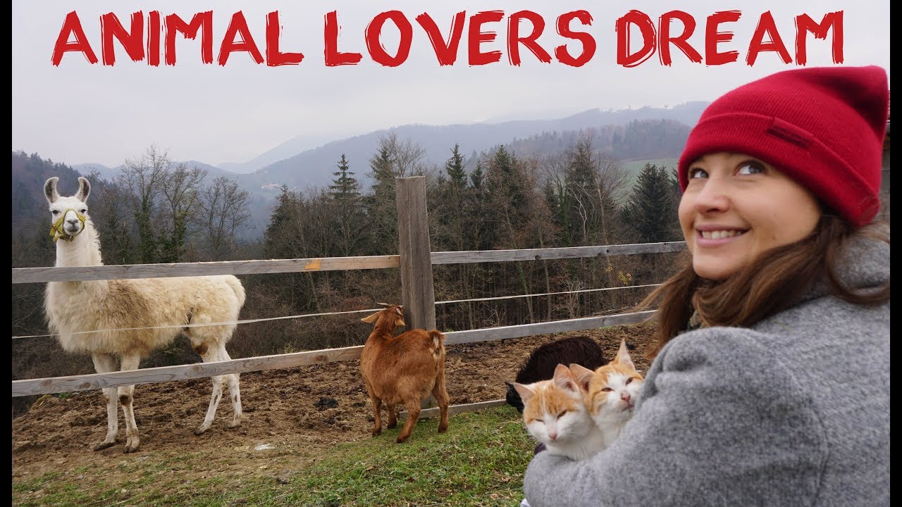 Best European Airbnb | Barn In Slovenian Mountains + Travelling To Ljubljana With Endless Adventure