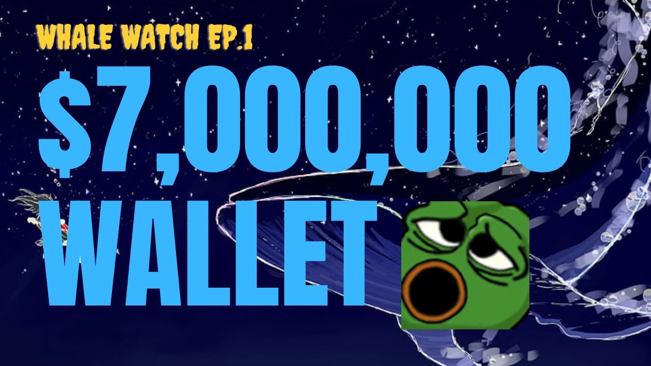Whale Watch Episode 1 - $7 Million Dollar Wallet Breakdown $TIME $ETH $AVAX