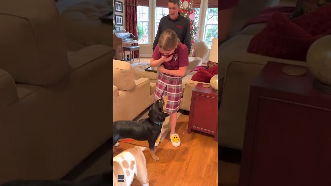 Girl Surprised With Adoption of Foster Dog