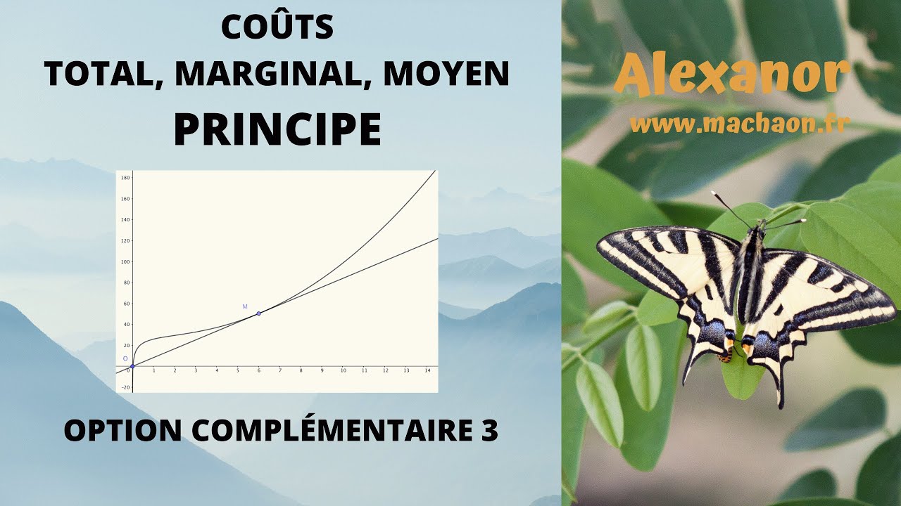 maths compl&eacute;mentaires #3 Co&ucirc;ts total, moyen, marginal. Co&ucirc;t moyen minimal. Principe g&eacute;n&eacute;ral