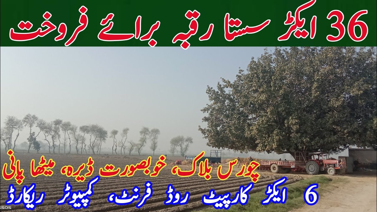 Agricultural land for sale in pakistan | land for sale | cheap land for sale | Rakba for sale |