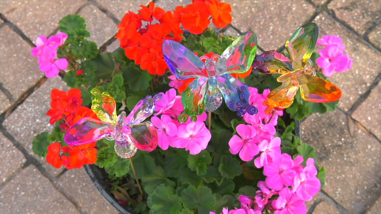 Marigold Set of 3 Decorative Garden Stakes on QVC