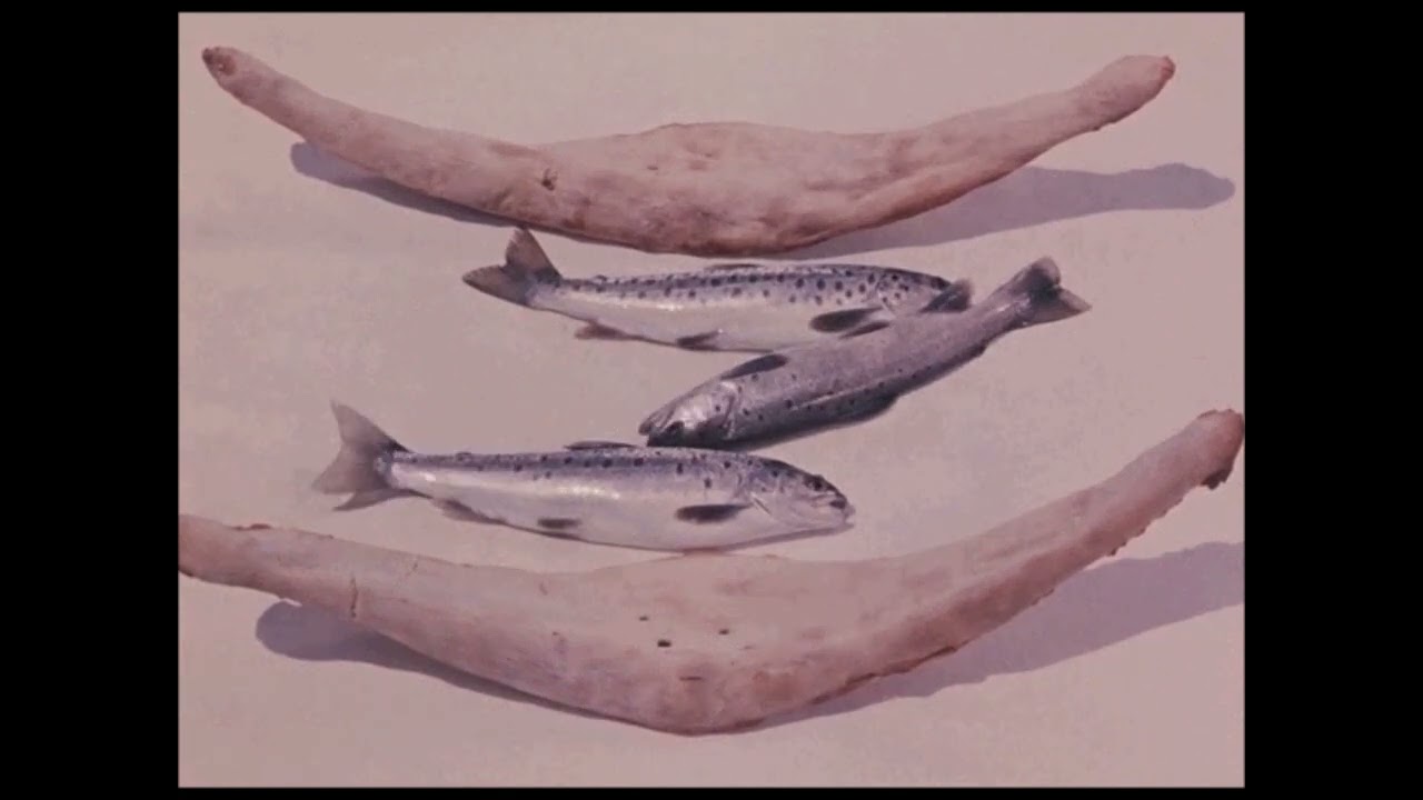 Knut Hagedorn, Wolfgang Seidel, Paul Brody Toy Bizarre Jeff Sampson & Ed End Mother Tongue mix