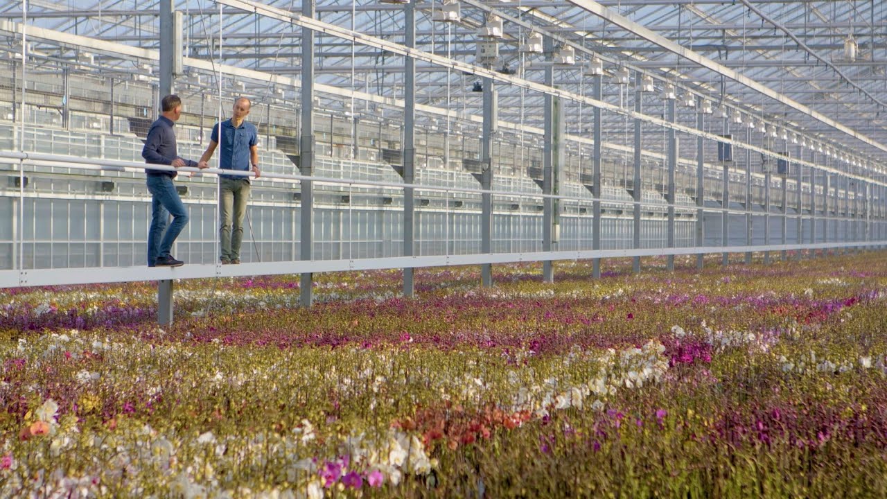 Kringlooplandbouw - Water Glastuinbouw