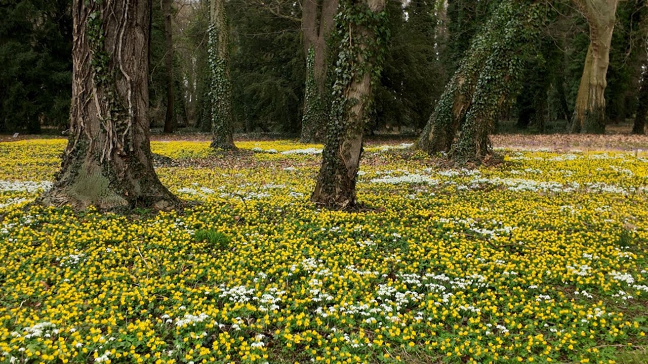Schlosspark Ostrau (Petersberg bei Halle).