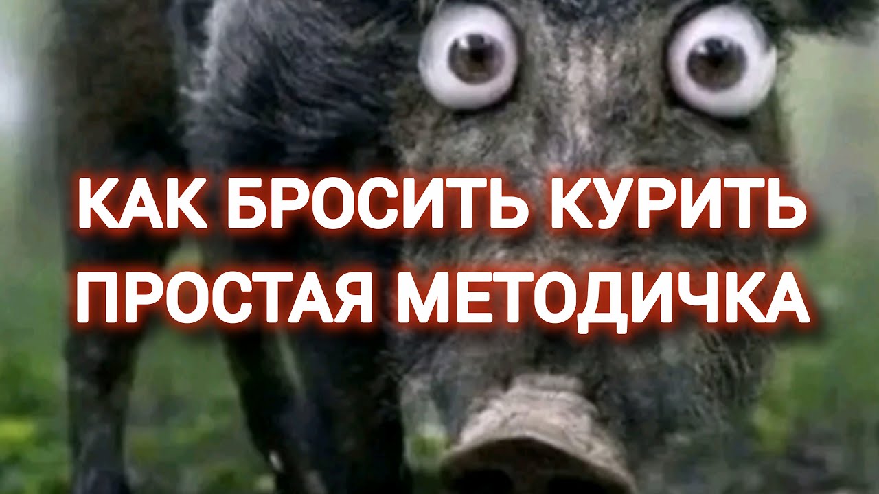 Как бросить курить. Методика самоопределения.