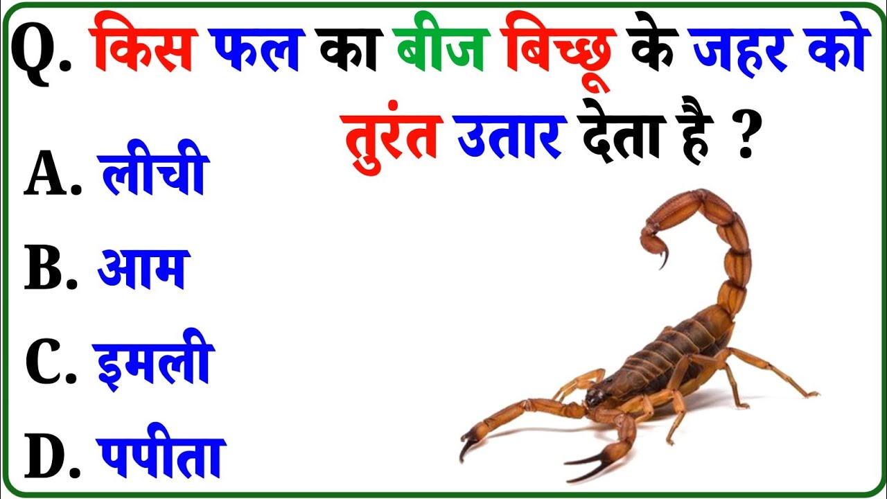 Gk Question | GK In Hindi | GK Question and Answer | Gk Quiz