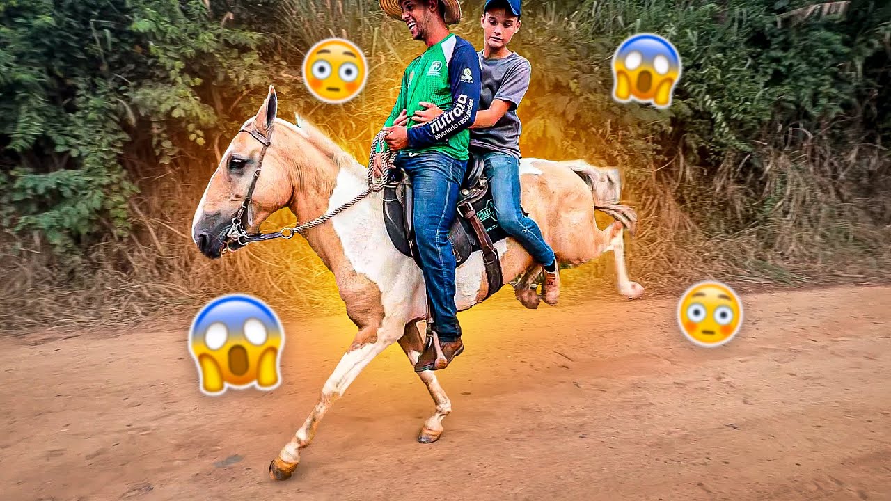 NOVO CAVALO do Meu PEÃO