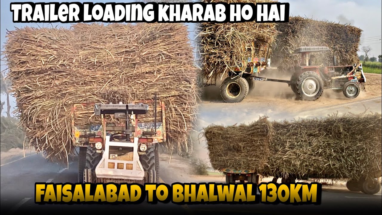Sugarcane trailer loading kharab ho gayi | Faisalabad to Bhalwal 130 KM distance 