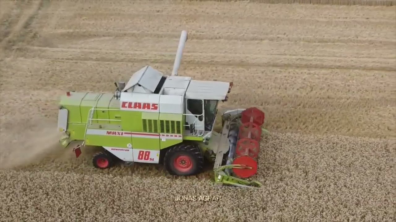 Claas Dominator 88 SL Maxi im Getreide