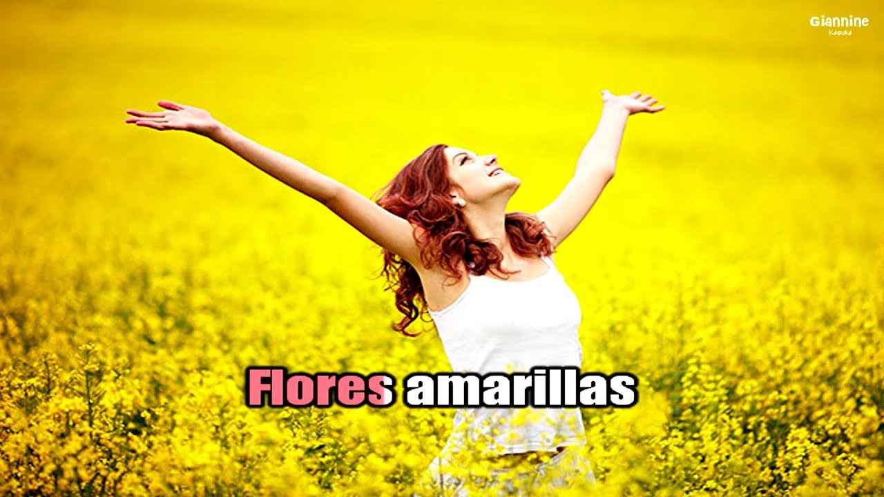 Flores Amarillas - Floricienta - Karaoke
