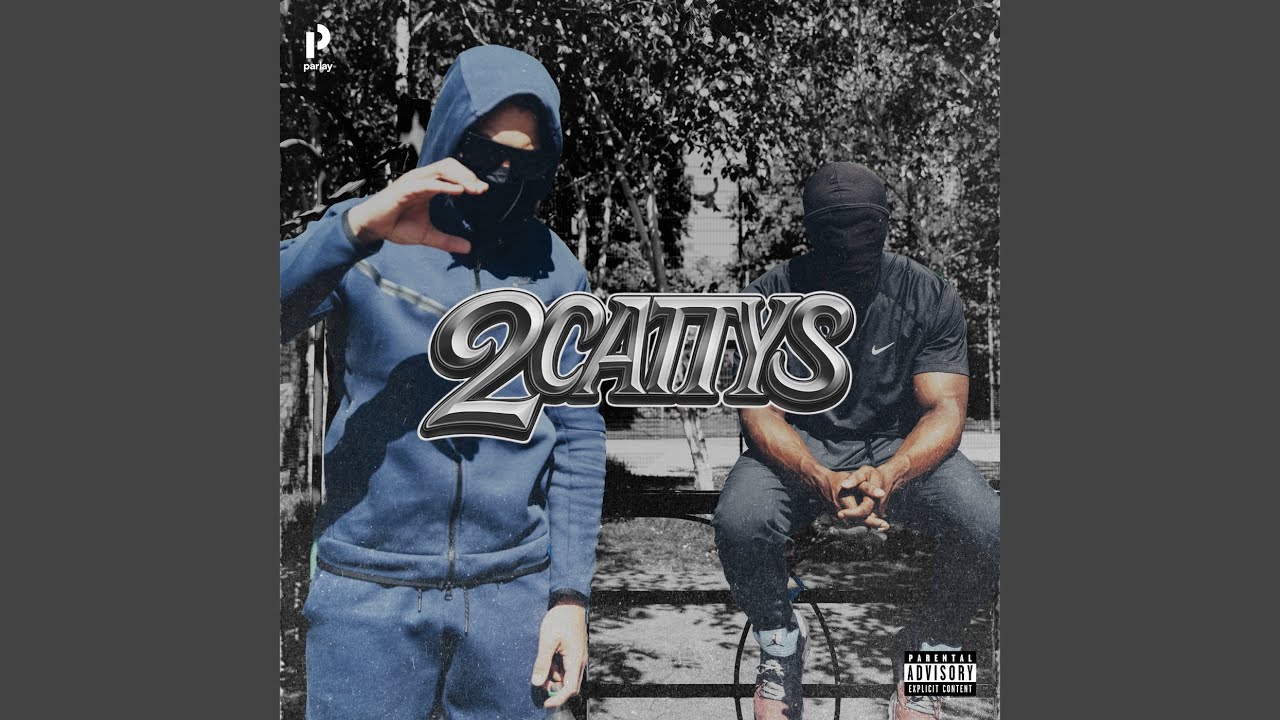 2 Cattys