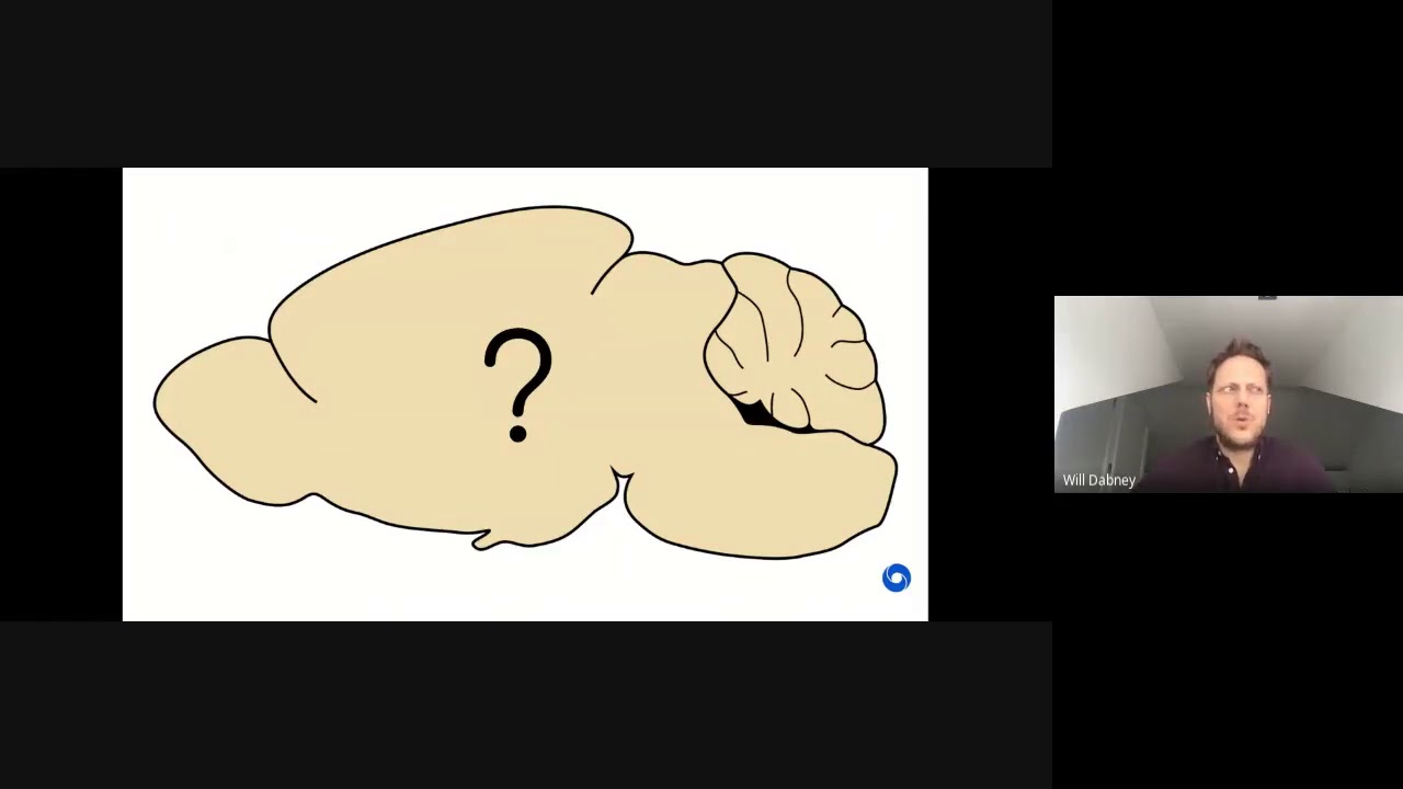 JNS Lecture: Will Dabney. 